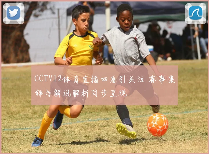 CCTV12体育直播回看引关注 赛事集锦与解说解析同步呈现