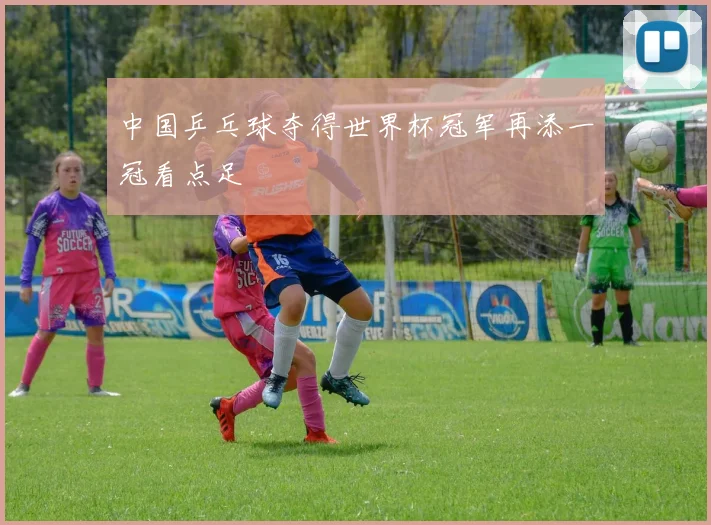 中国乒乓球夺得世界杯冠军再添一冠看点足